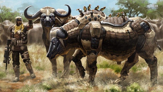 想往鱼缸里种点水草,但是家里鱼缸大了买水草泥或者底砂太贵了,有没有生活中可以替代的物品或其他建议?